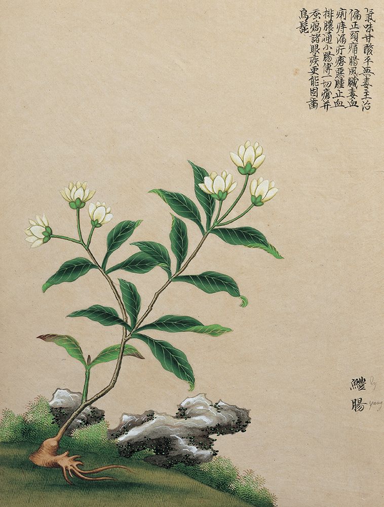 Oriental Flower I art print by Unknown for $57.95 CAD