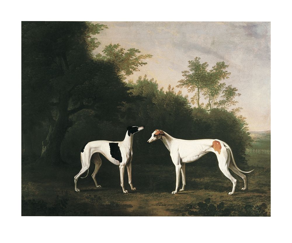 Two Greyhounds art print by Unknown for $57.95 CAD
