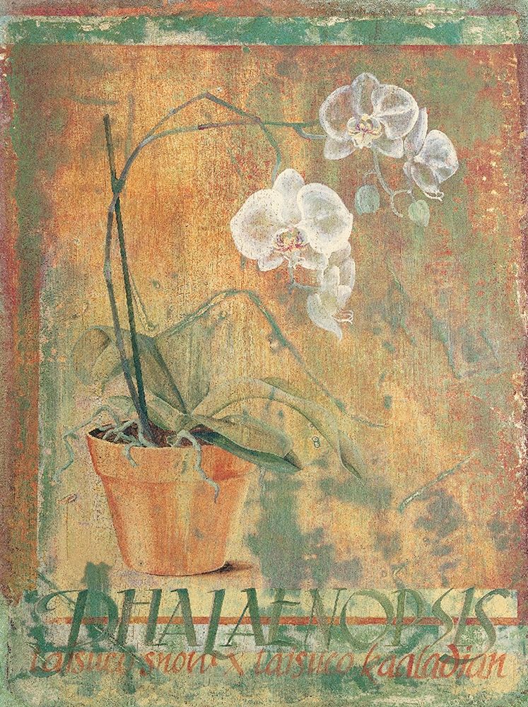 Potted White II art print by Unknown for $57.95 CAD
