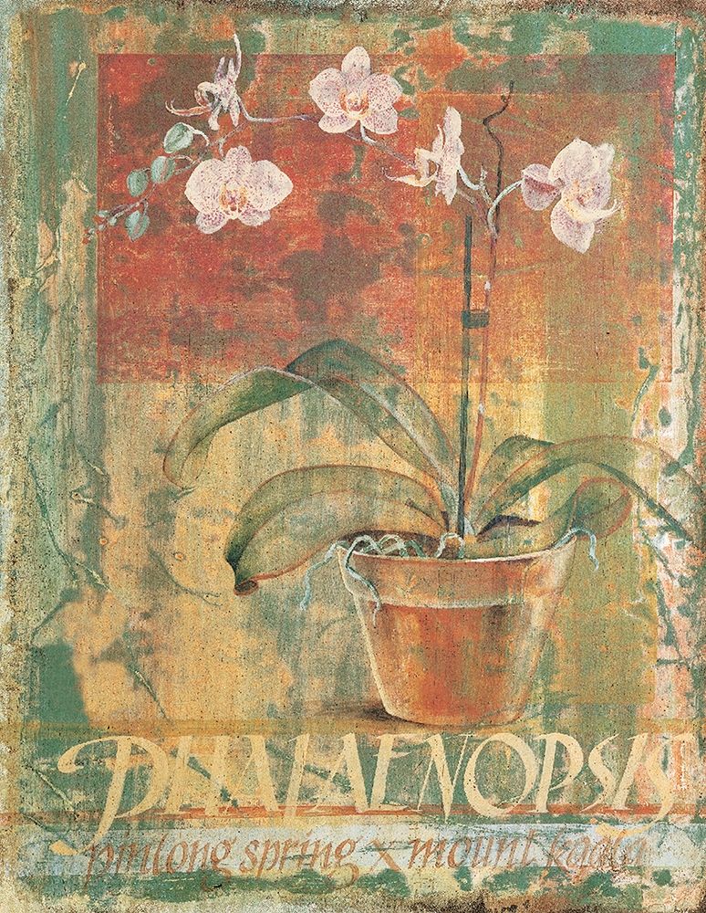 Potted White II art print by Unknown for $57.95 CAD
