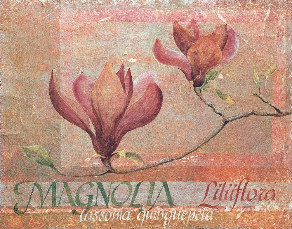 Red Magnolia art print by Unknown for $57.95 CAD