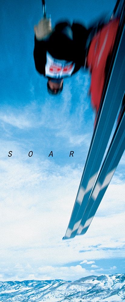 Ski - Soar art print by Unknown for $57.95 CAD
