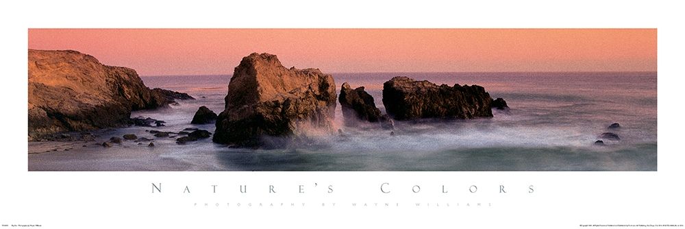 Rocks on Shore art print by Unknown for $57.95 CAD
