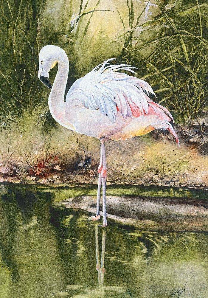 Flamingo art print by Unknown for $57.95 CAD