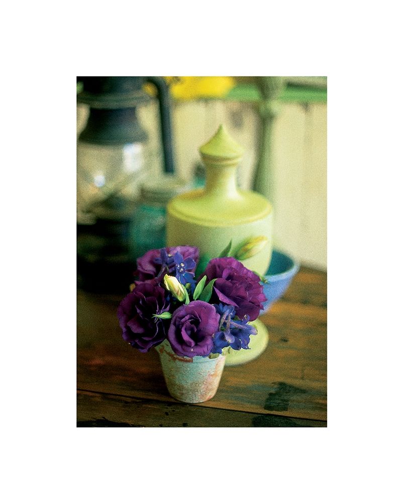 Lantern Flower art print by Frontline for $57.95 CAD