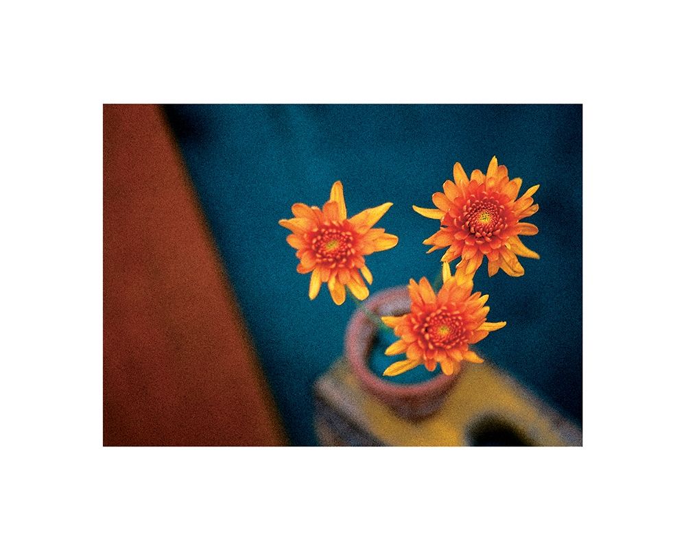 Orange Mums art print by Frontline for $57.95 CAD