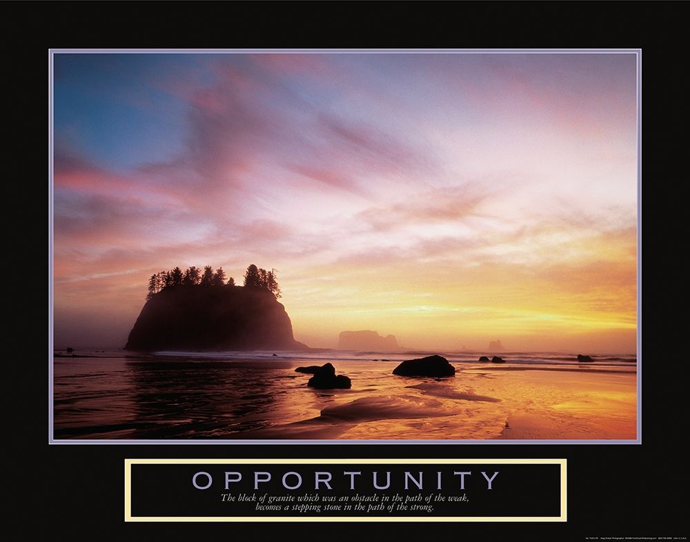 Opportunity Seashore art print by Unknown for $57.95 CAD