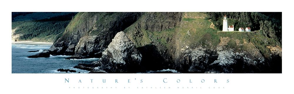 Rocky Shores art print by Unknown for $57.95 CAD