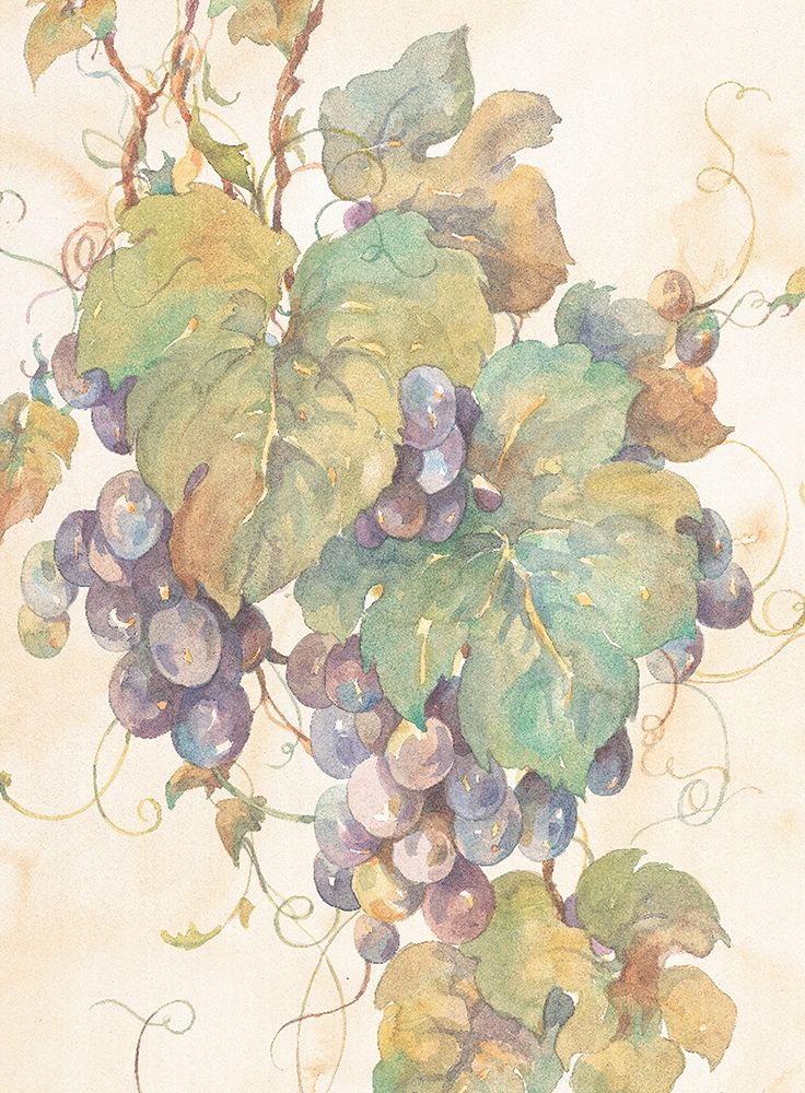 Hanging Grapes art print by Unknown for $57.95 CAD