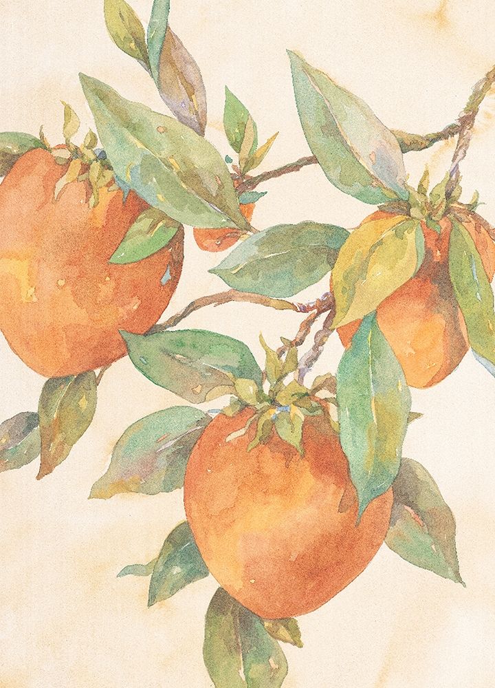 Hanging Peaches art print by Unknown for $57.95 CAD