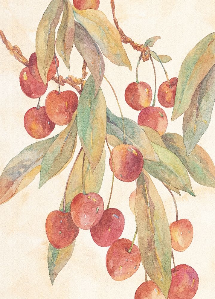 Hanging Cherries art print by Unknown for $57.95 CAD