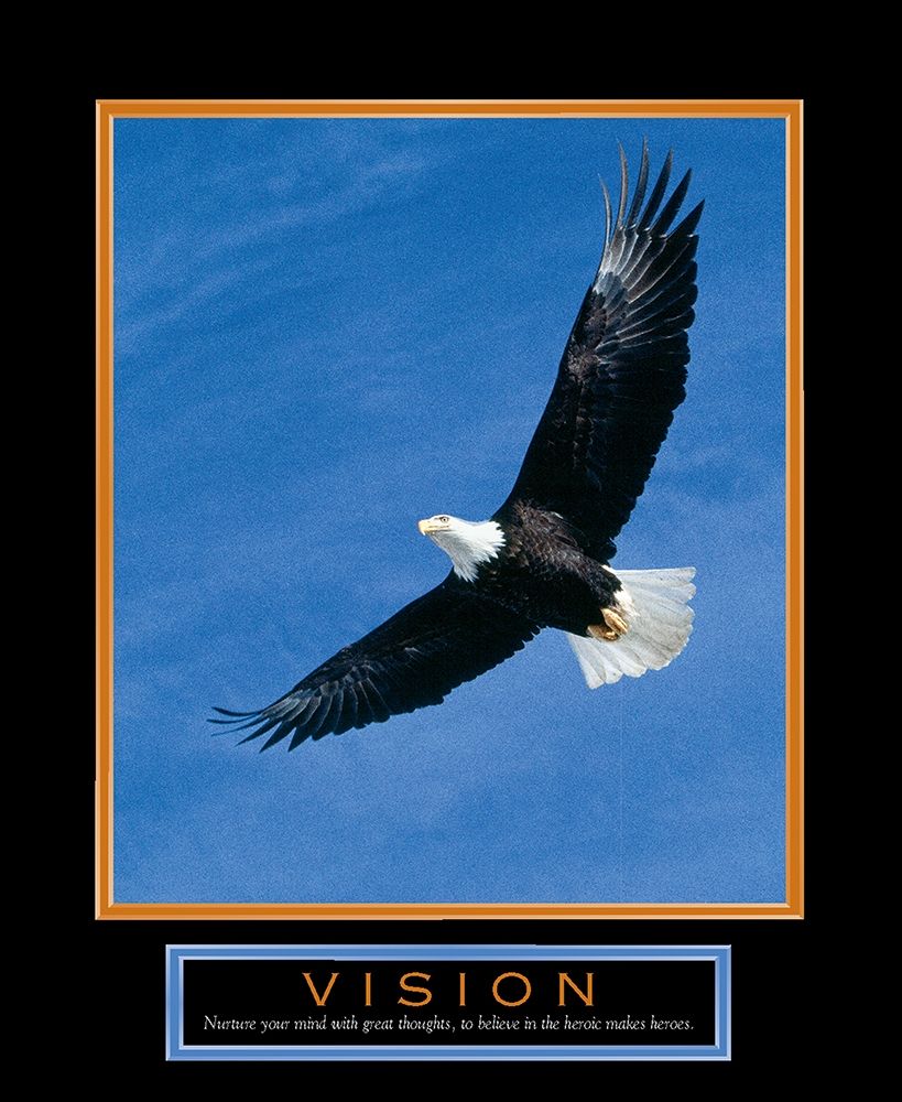 Vision Eagle in Flight art print by Unknown for $57.95 CAD