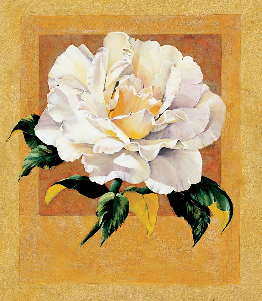 White Rose I art print by Unknown for $57.95 CAD