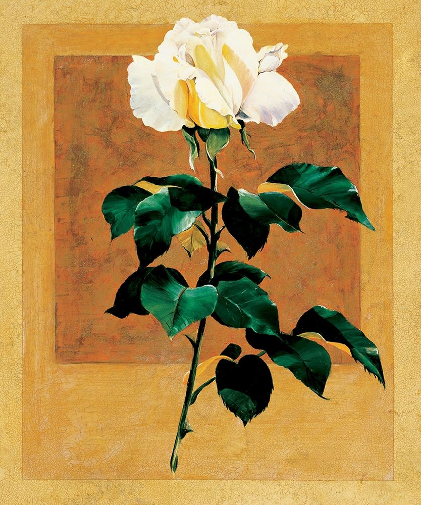 White Rose II art print by Unknown for $57.95 CAD