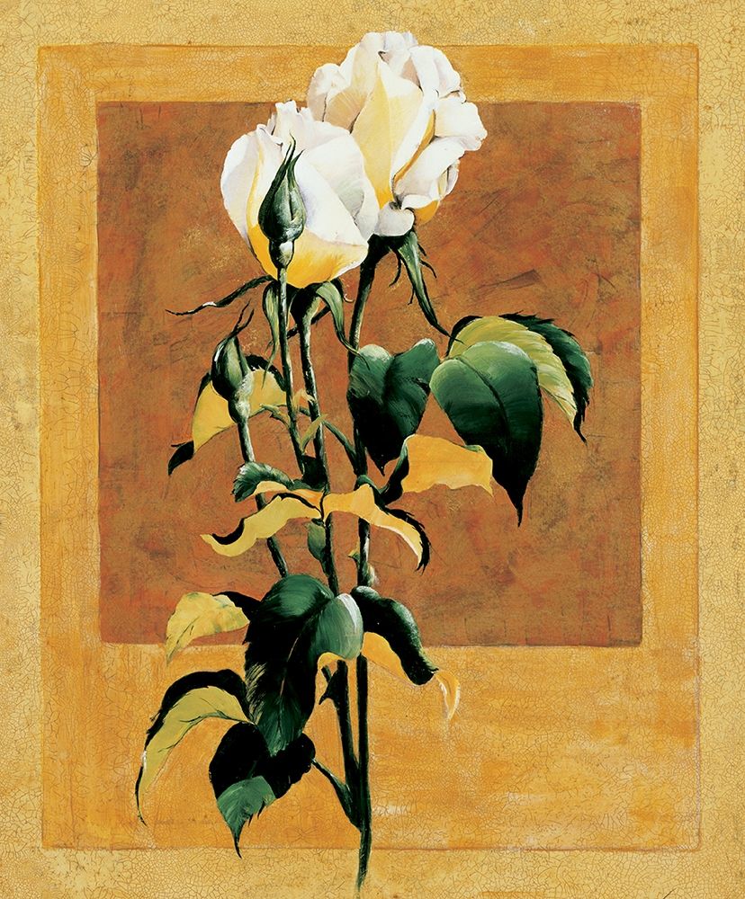 White Rose III art print by Unknown for $57.95 CAD