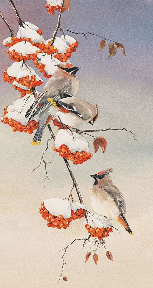 Finch on Perch art print by Unknown for $57.95 CAD