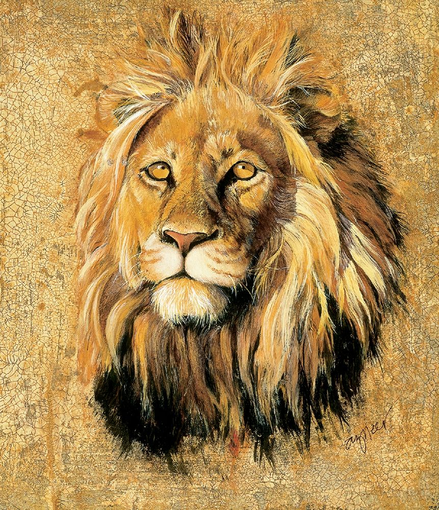 Lion art print by Unknown for $57.95 CAD