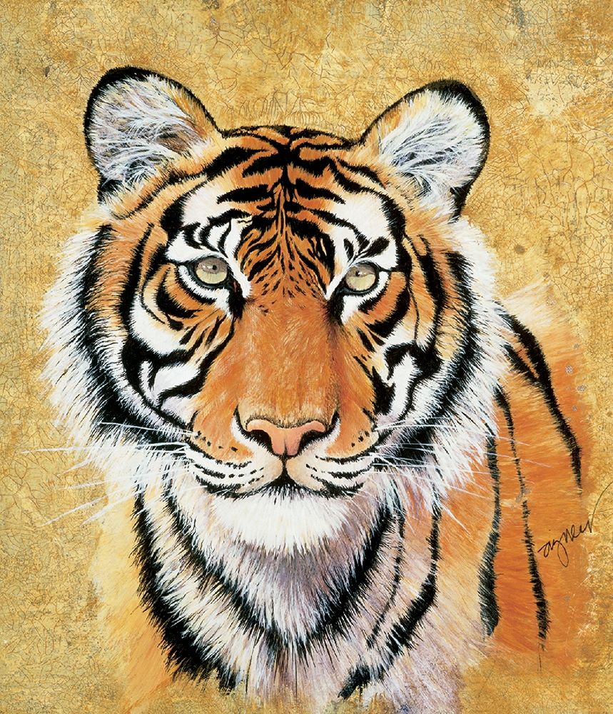 Tiger art print by Unknown for $57.95 CAD