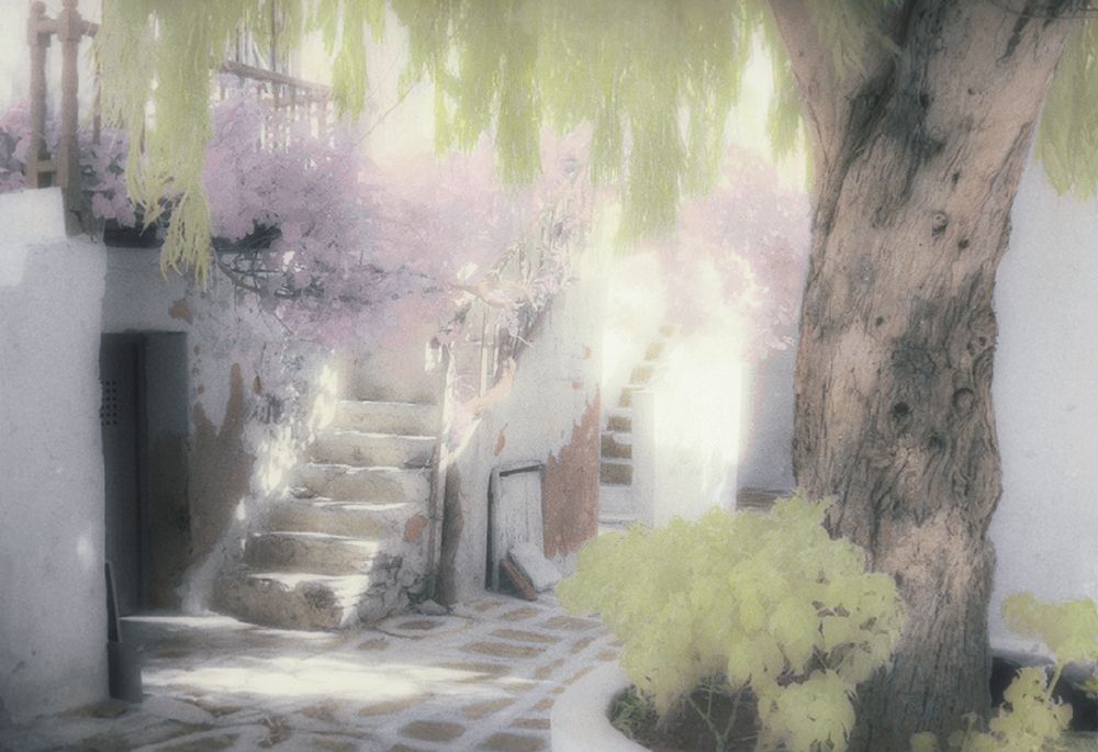 Stairs and Tree art print by Unknown for $57.95 CAD