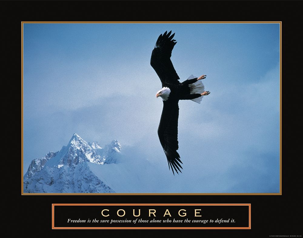 Courage - Eagle art print by Unknown for $57.95 CAD