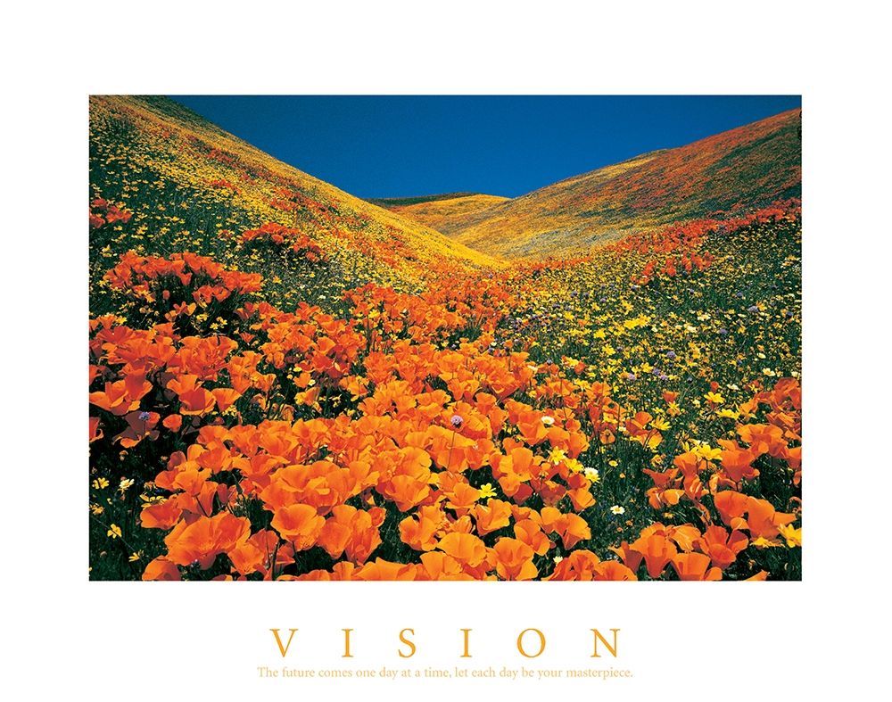 Vision - Edelweiss Flowers art print by Unknown for $57.95 CAD