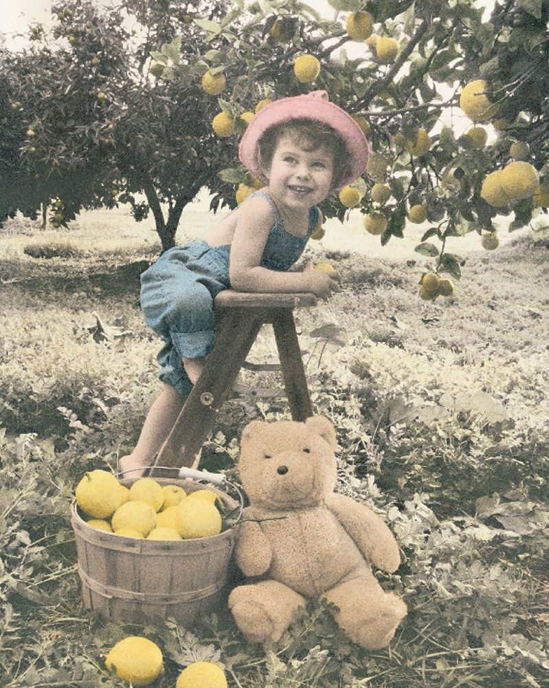 Girl Picking Apples art print by Unknown for $57.95 CAD