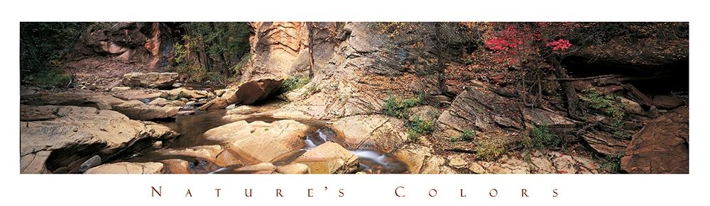 Rock Pond - Nature art print by Unknown for $57.95 CAD