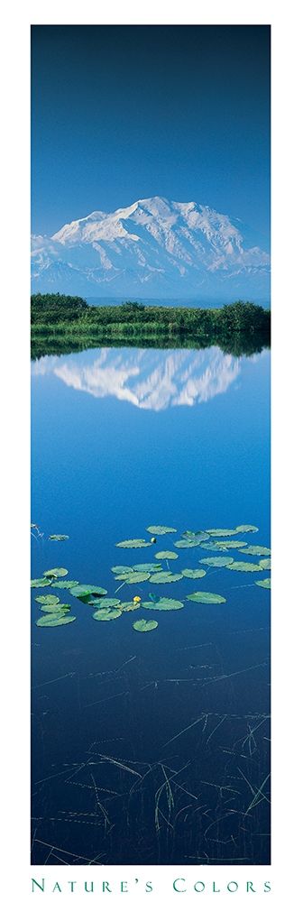 Mountain and Lilypads art print by Unknown for $57.95 CAD
