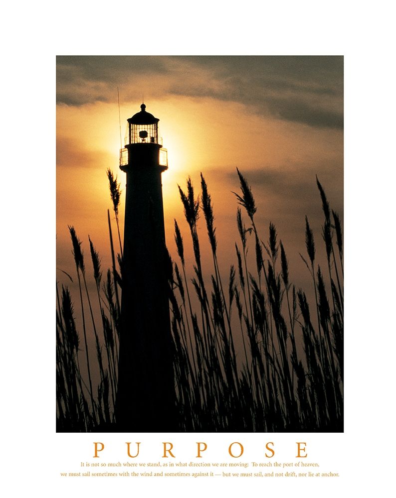 Purpose - Lighthouse in Reeds art print by Unknown for $57.95 CAD