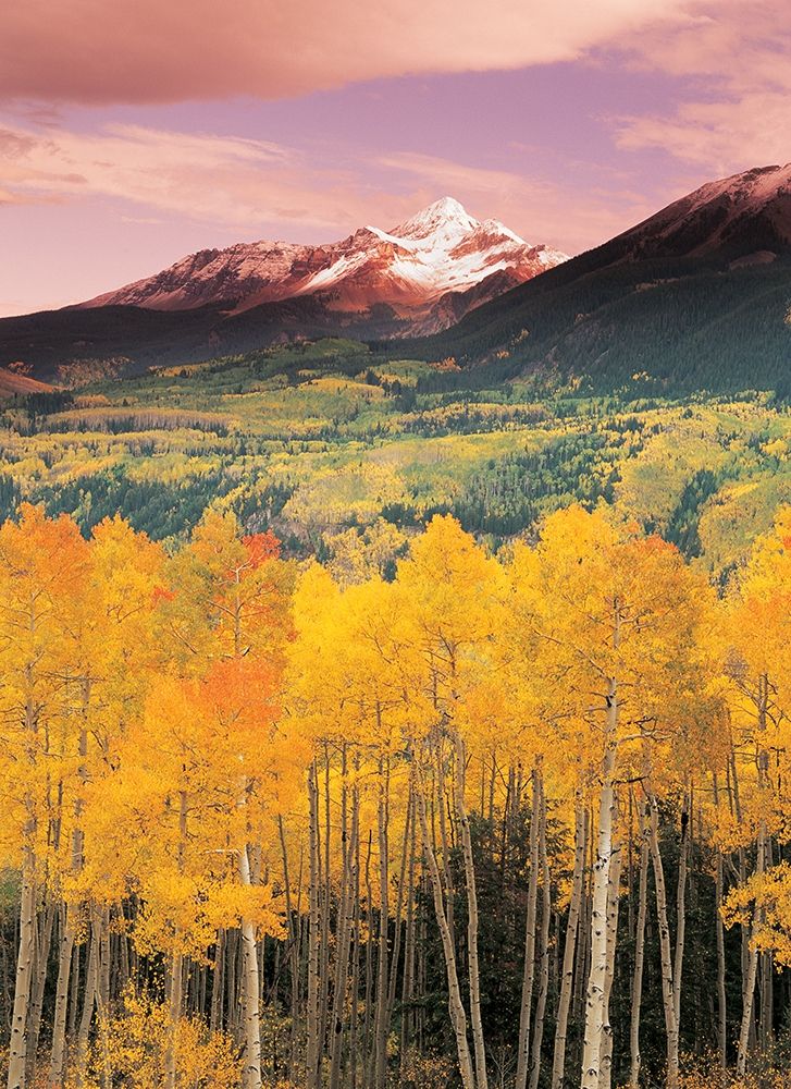 Mountain Valley art print by Unknown for $57.95 CAD