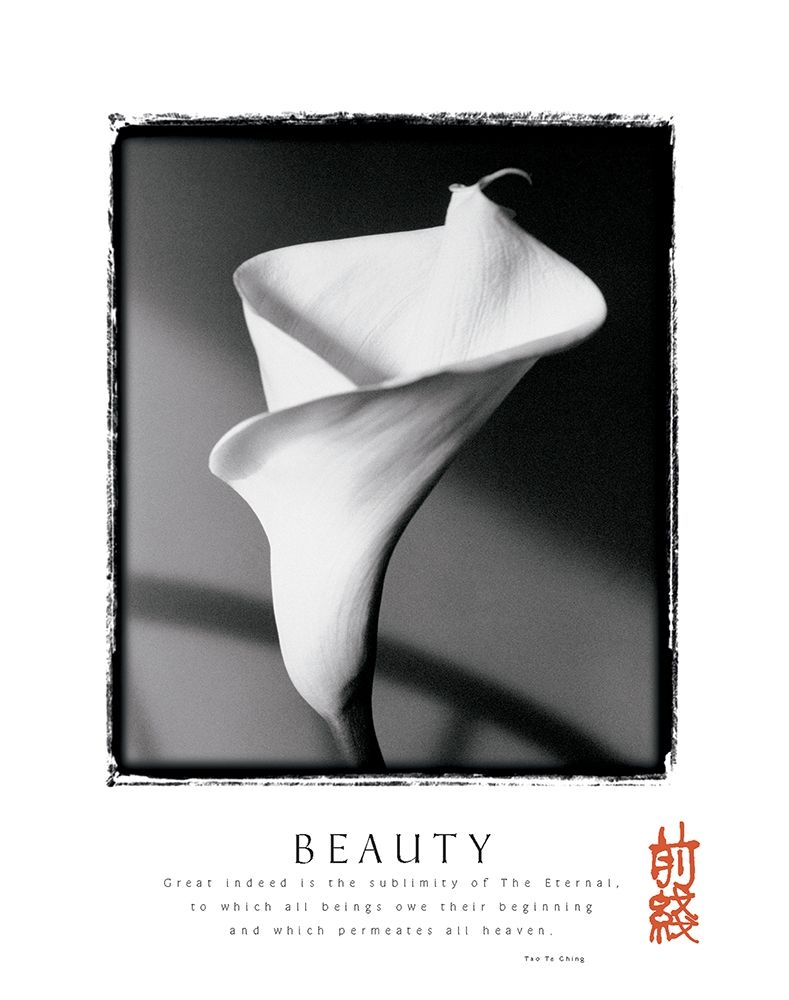 Beauty - Lily art print by Unknown for $57.95 CAD