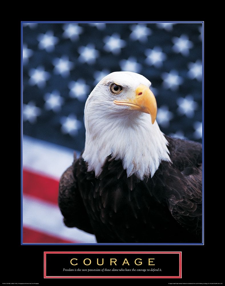 Courage - Eagle and Flag art print by Unknown for $57.95 CAD