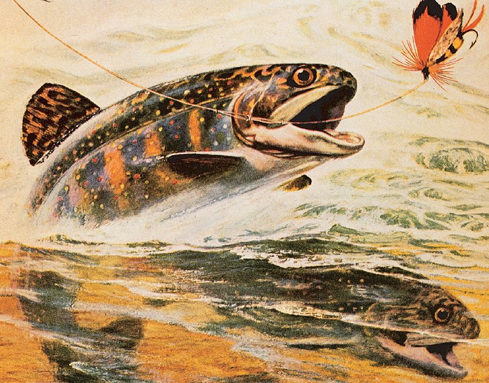 Trout and Fly art print by Unknown for $57.95 CAD