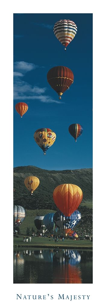 Balloons - Natures Majesty art print by Unknown for $57.95 CAD