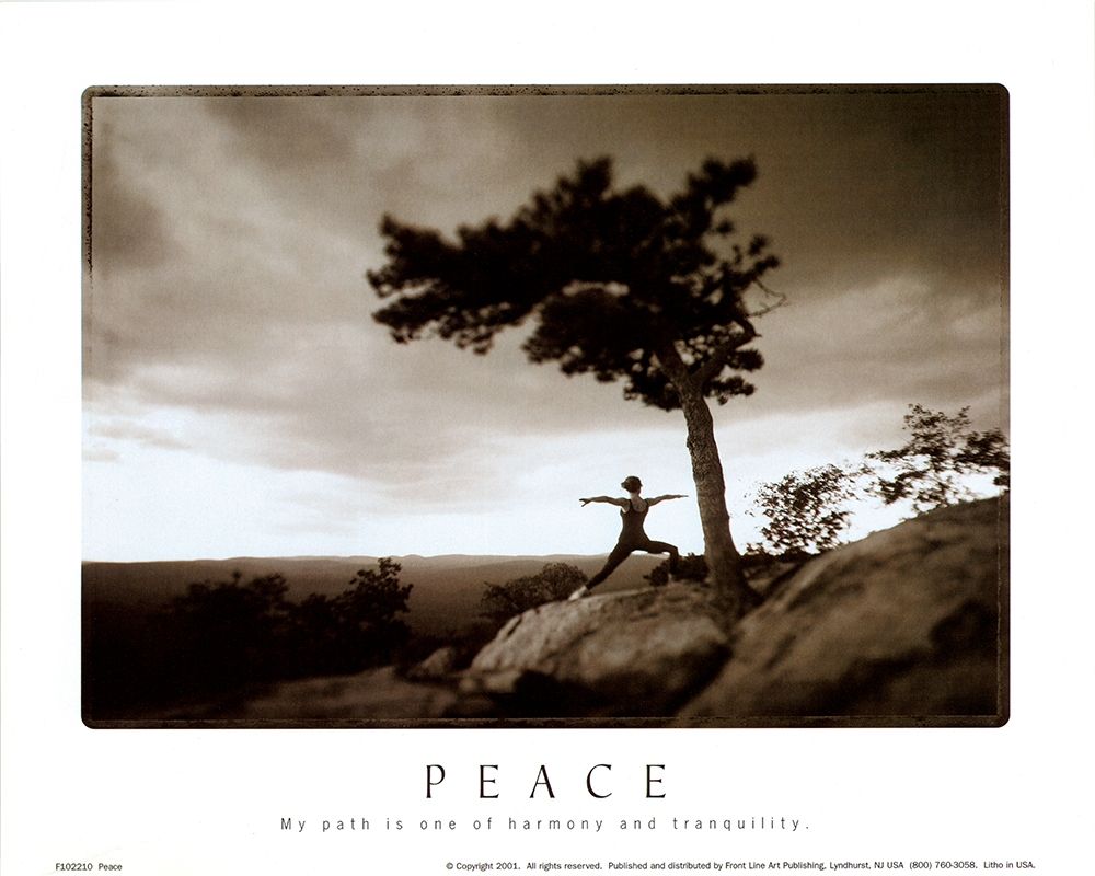 Zen - Peace art print by Unknown for $57.95 CAD