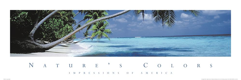 Natures Colors Palm Trees art print by Unknown for $57.95 CAD
