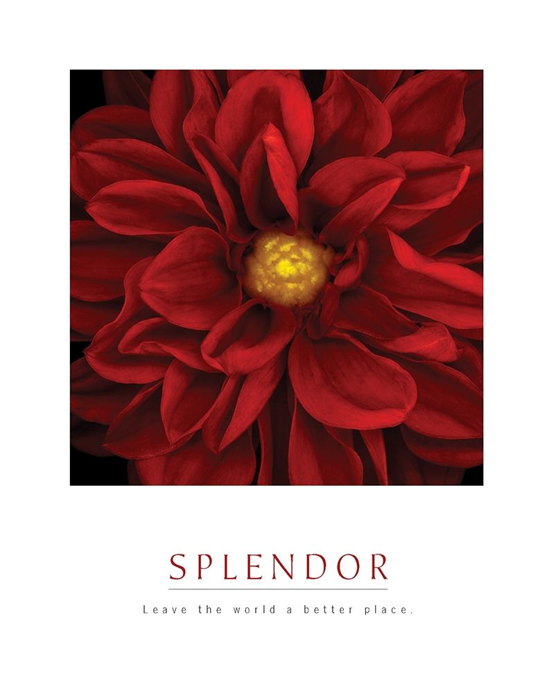 Splendor - Red Pool art print by Unknown for $57.95 CAD