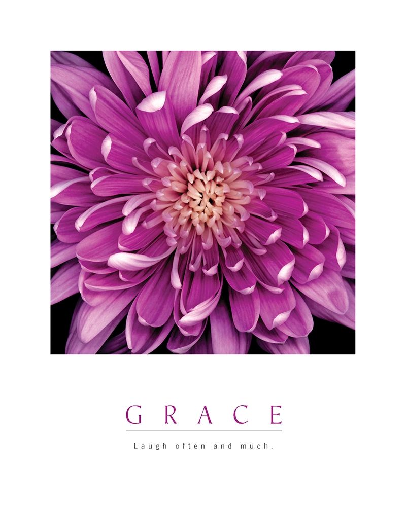 Grace - Purple Mum art print by Unknown for $57.95 CAD