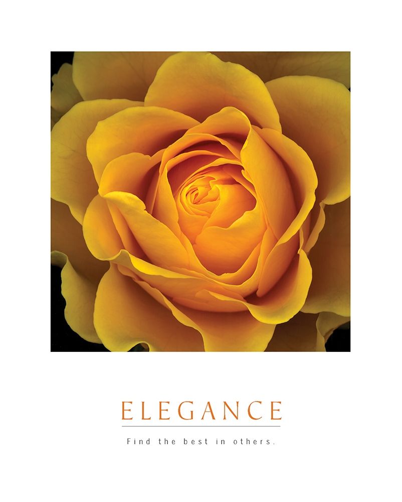 Elegance - Peach Rose art print by Unknown for $57.95 CAD