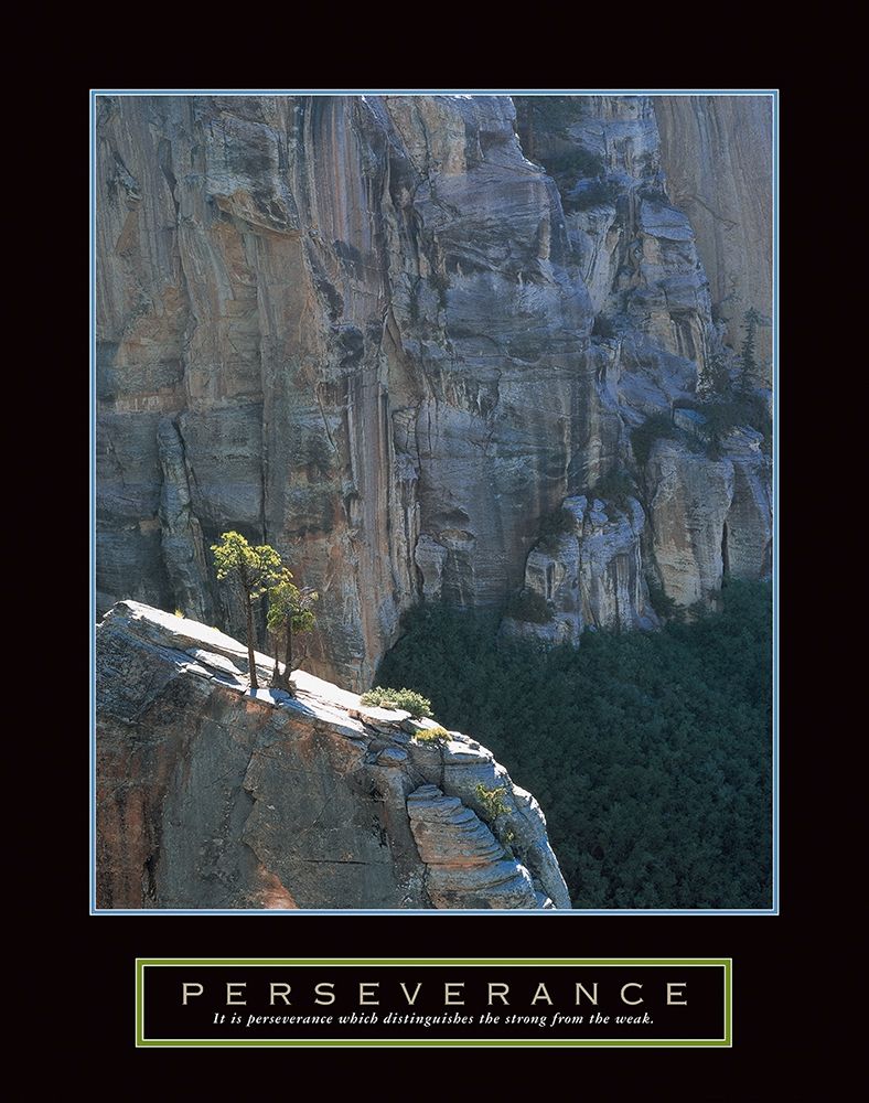 Perseverance - Canyon art print by Unknown for $57.95 CAD