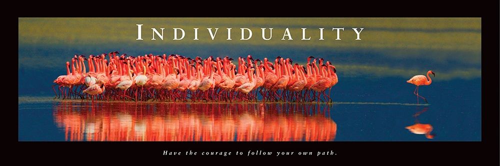 Individuality - Flamingos art print by Unknown for $57.95 CAD