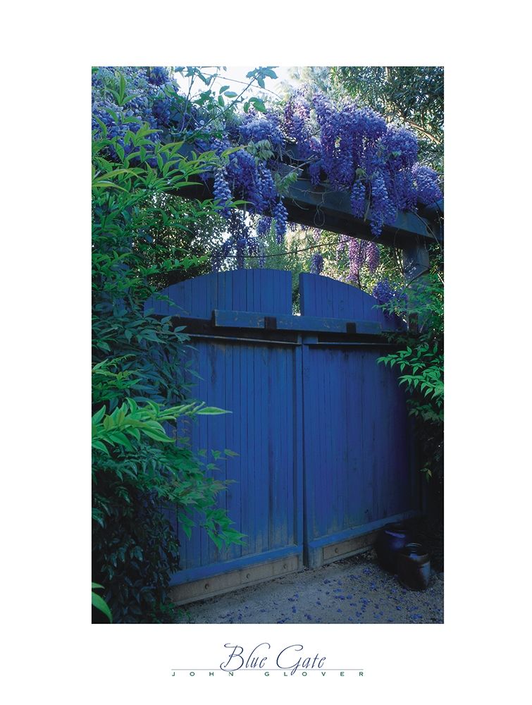 Blue Gate art print by Frontline for $57.95 CAD