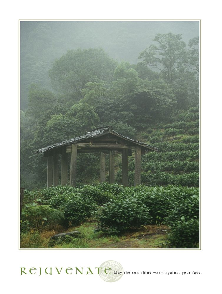 Rejuvenate - Pagoda art print by Frontline for $57.95 CAD