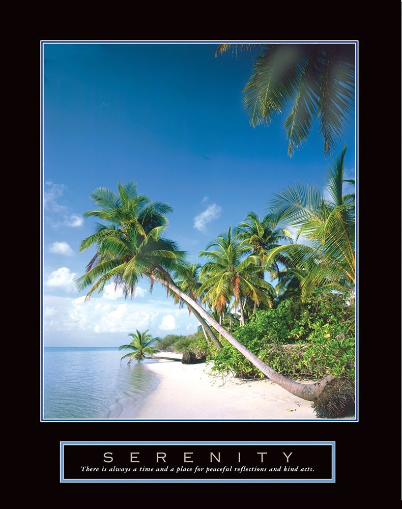 Serenity - Palm Trees art print by Frontline for $57.95 CAD