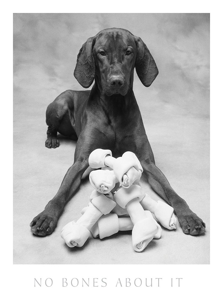 Dog and his Bone art print by Frontline for $57.95 CAD