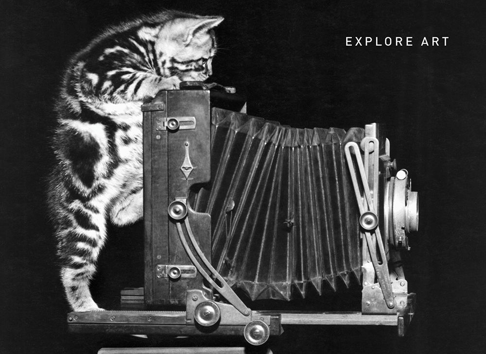 Cat and Camera art print by Frontline for $57.95 CAD