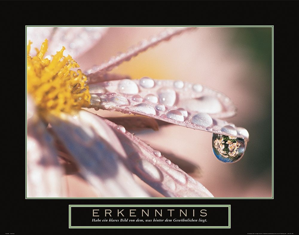 Erkenntnis art print by Frontline for $57.95 CAD
