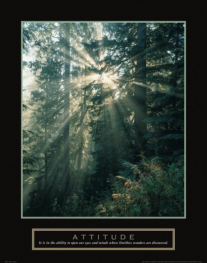 Attitude - Forest art print by Frontline for $57.95 CAD