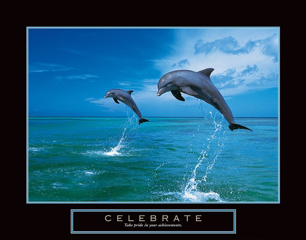 Celebrate - Dolphins art print by Unknown for $57.95 CAD