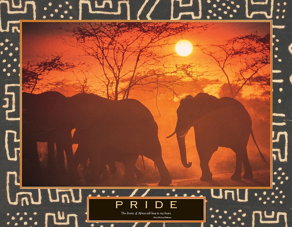 Pride - Elephant and Sun art print by Unknown for $57.95 CAD